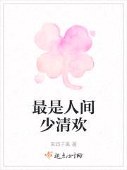 最是人间少清欢封面