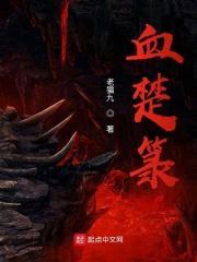 血楚箓封面