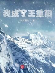我成了王重阳封面