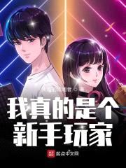 我真的是个新手玩家封面