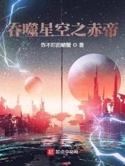 吞噬星空之赤帝封面