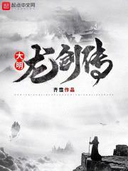 大明龙剑传封面