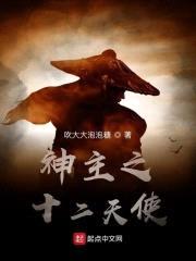 神主之十二圣天使封面