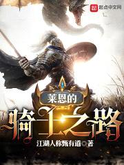 莱恩的骑士之路封面