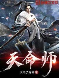 天命师封面