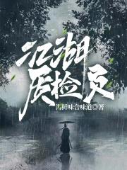 江湖质检员封面