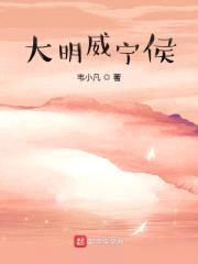 大明威宁侯封面