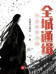 开局被李世民，全城通缉封面