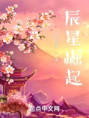 神斗大陆：复仇封面