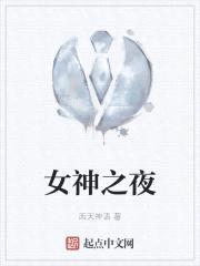 女神之夜封面