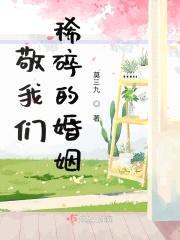 敬我们稀碎的婚姻封面