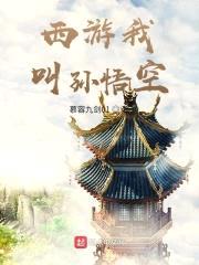 西游我叫孙悟空封面