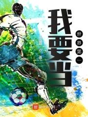 我要当世界第一封面