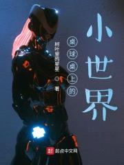 桌球桌上的小世界封面