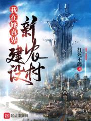 我在修真界建设新农村封面