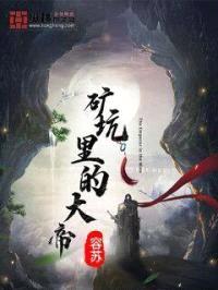 矿坑里的大帝封面