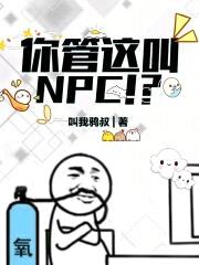 你管这叫NPC！？封面