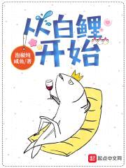 从白鲤开始封面