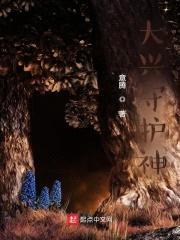 大兴守护神封面