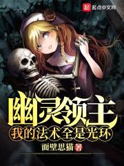 幽灵领主：我的法术全是光环封面