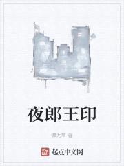 夜郎王印封面