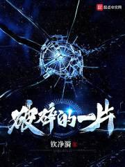 破碎的一片封面