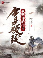 我赌你的招里全是破绽封面