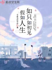 人笙只如初见封面