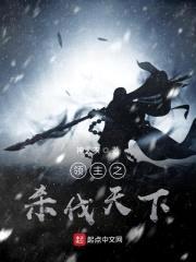 领主之杀伐天下封面