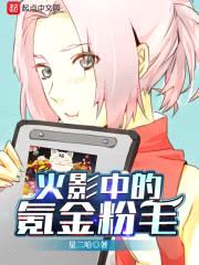 木叶中的氪金粉毛封面