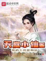 天庭小仙贩封面