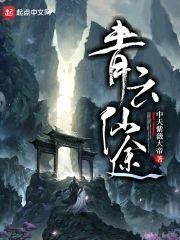 青云仙途封面