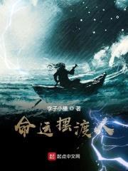 命运摆渡人封面