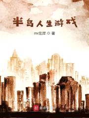 半岛人生游戏封面