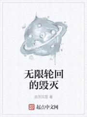 无限轮回的毁灭封面