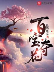 百宝夺花封面