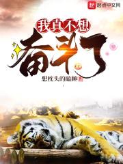 我真不想奋斗了封面