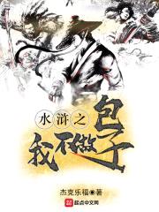 水浒之我不做包子封面