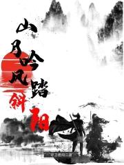 山月吟风踏斜阳封面