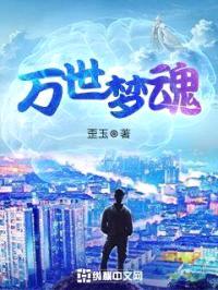 万世梦魂封面