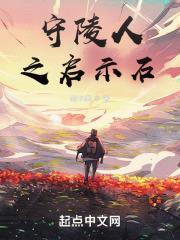 守陵人之启示石封面