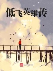 低飞英雄传封面