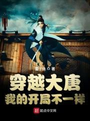 穿越大唐：我的开局不一样封面