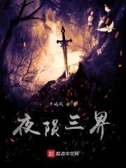 夜陨三界封面
