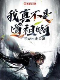 我真不是道祖啊封面