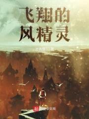 飞翔的风精灵封面