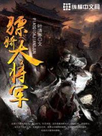 骠骑大将军封面