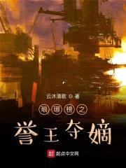 琅琊榜之誉王夺嫡封面