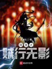 网游之贼行无影封面