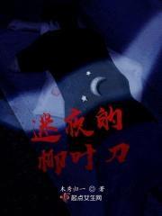 迷夜的柳叶刀封面